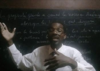 Pourquoi y A-t-il des chats noirs ?