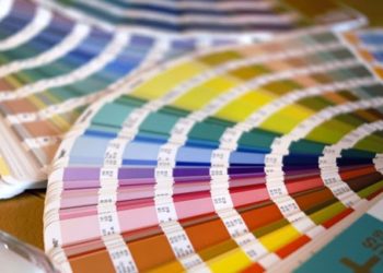 Comment Appelle-t-on un chat qui a plusieurs couleurs ?