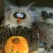 Comment chante le hibou ?