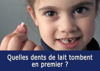 Quelles sont les dents qui tombent ?