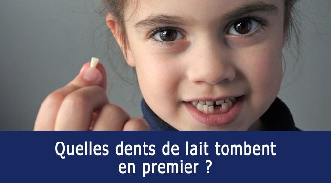 Quelles sont les dents qui tombent ?