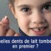 Quelles sont les dents qui tombent ?