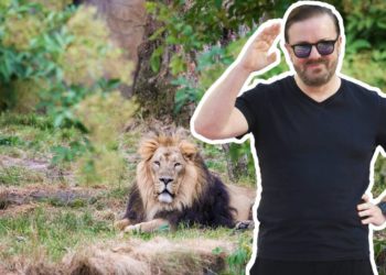 Où disposer du corps d'un animal mort ?