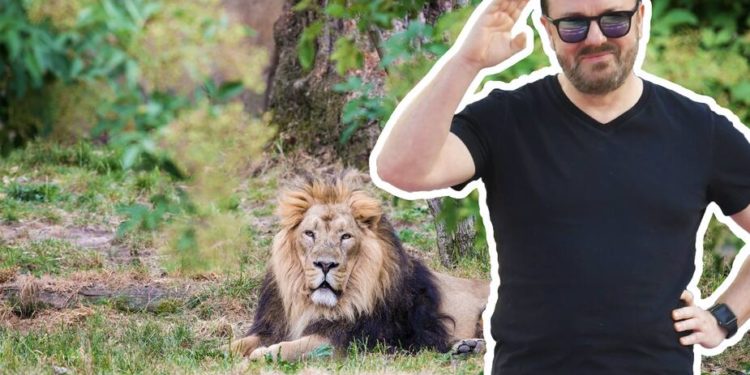 Où disposer du corps d'un animal mort ?