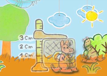 Pourquoi les kangourous ont une poche ?