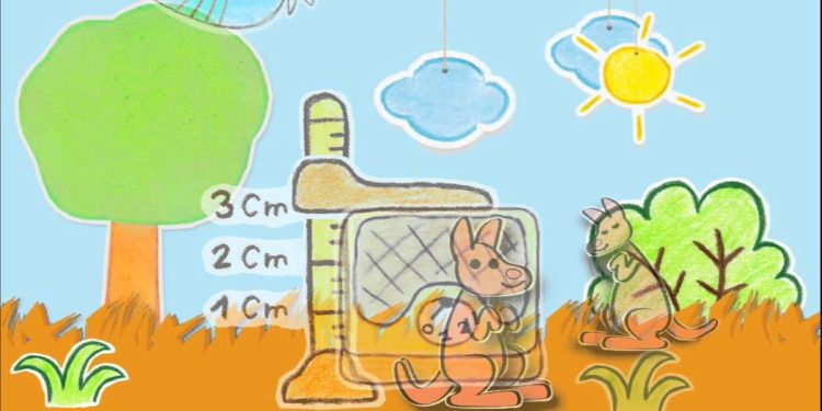 Pourquoi les kangourous ont une poche ?