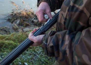 Comment se procurer un pitbull en France ?