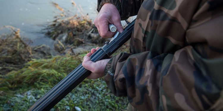 Comment se procurer un pitbull en France ?