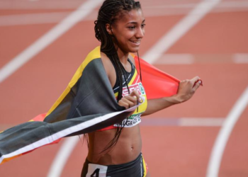 Pourquoi les poissons résistent à la pression ?