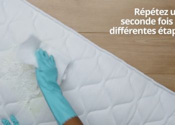 Quelles sont les odeurs qui repoussent les chats ?