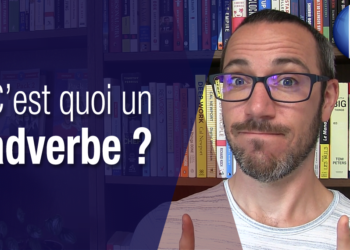 Qu'est-ce qu'une Anisocorie ?