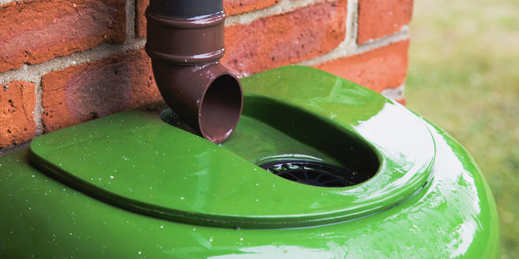 Quel volume pour des néons ?