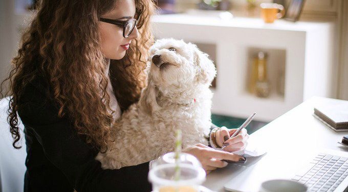 Pourquoi mon chien me suit partout dans la maison ?