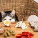 Quel fromage Peut-on donner à un chat ?