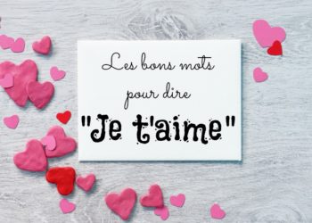 Comment dire à mon chat que je l'aime ?