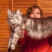 Quel est le chat le plus gros du monde ?