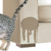 Pourquoi mon chat fait pipi sur les murs ?