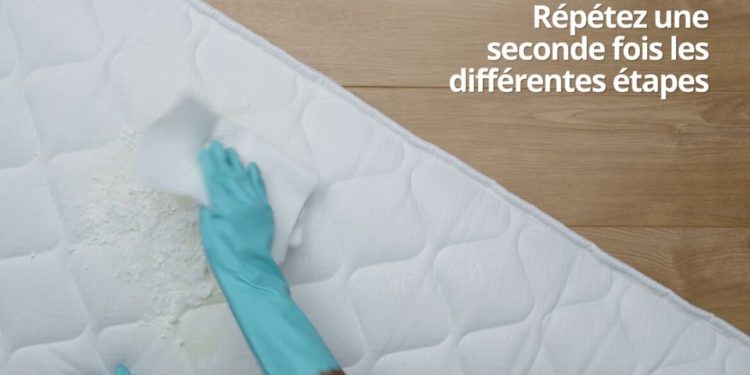 Quelles sont les odeurs qui repoussent les chats ?