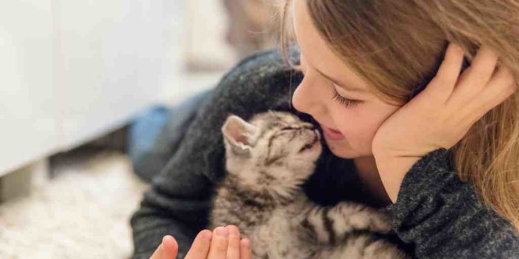 Comment savoir si un chat est calin ?