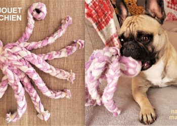 Comment faire pour decoller des chiens ?