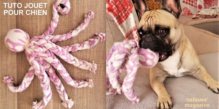 Comment faire pour decoller des chiens ?