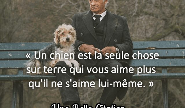 Quand ton chien s'assoit sur toi ?