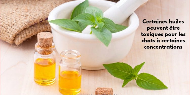 Quelle huile essentielle pour empêcher un chien d'uriner ?