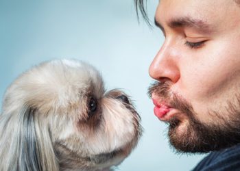 Est-il bien de faire des bisous à son chien ?
