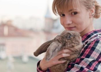 Comment savoir si mon lapin se sent bien ?