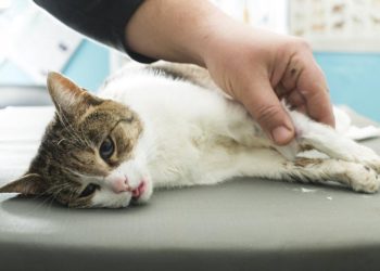 Quand je respire fort ça fait du bruit ?