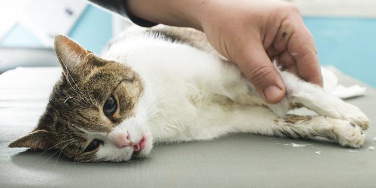 Quand je respire fort ça fait du bruit ?