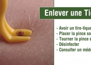 Comment faire mourir une tique ?