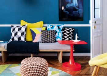 Quelle couleur choisir pour un Staffie ?