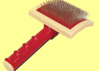 Quelle brosse pour un Caniche ?