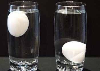 Quand un œuf flotte Est-il bon ?
