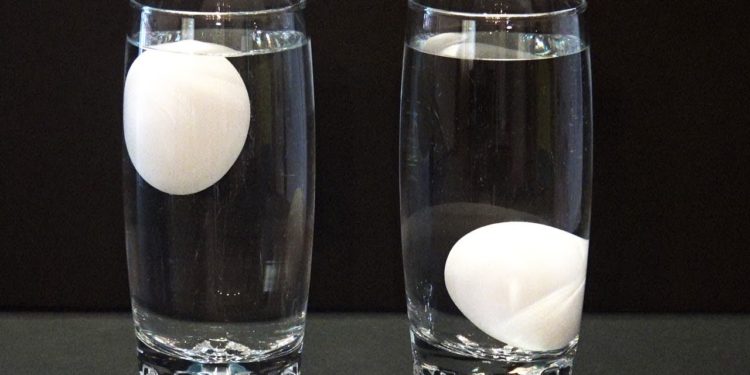 Quand un œuf flotte Est-il bon ?