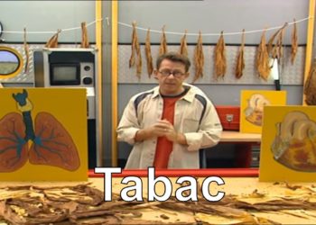 Pourquoi le Sphinx est dangereux ?