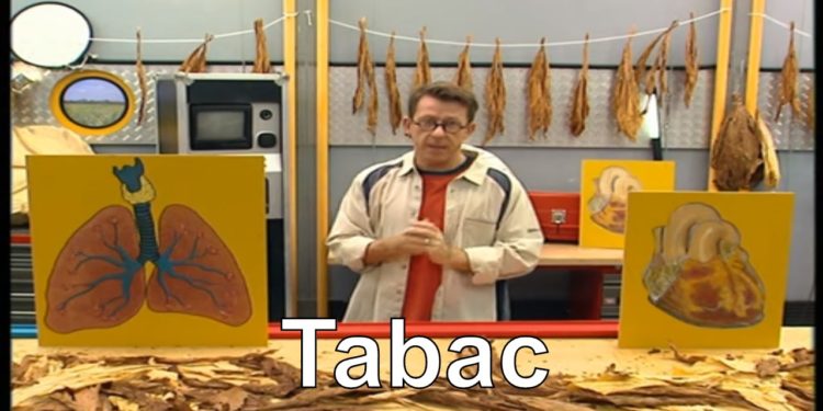 Pourquoi le Sphinx est dangereux ?