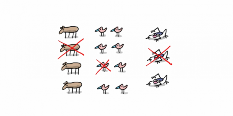 C'est quoi une espèce hybride ?