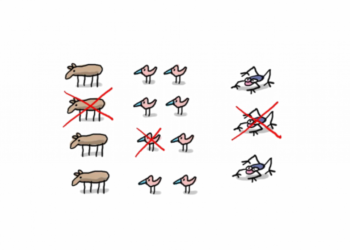 C'est quoi une espèce hybride ?