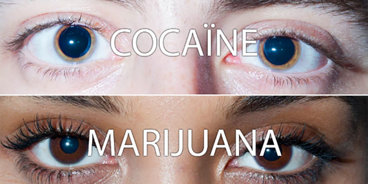 Pourquoi les pupilles se dilatent quand on est amoureux ?