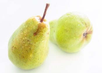 Puis-je donner de la poire à mon chien ?