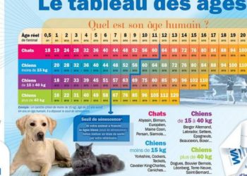 Quel vaccin pour un chiot de 2 mois ?