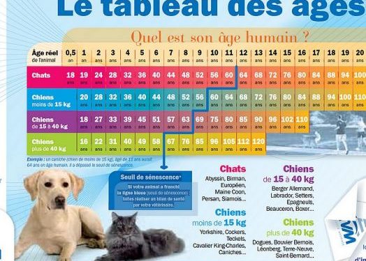 Quel vaccin pour un chiot de 2 mois ?