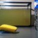 Quand nettoyer le filtre de mon aquarium ?