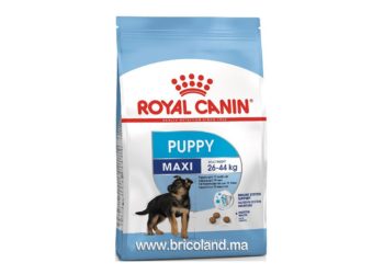 Quelles croquettes pour chiot de 2 mois ?