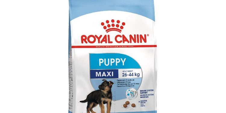 Quelles croquettes pour chiot de 2 mois ?