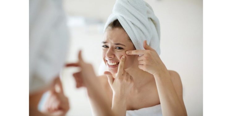 Pourquoi il ne faut pas toucher les chatons ?