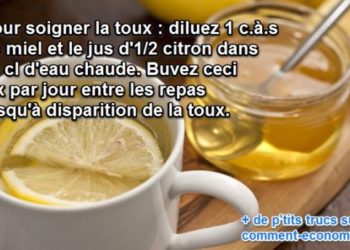 Quel remède contre la toux d'un chien ?