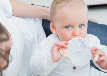 Comment donner à boire à un bébé lapin ?